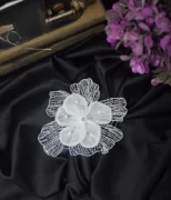Dantel Detaylı Aplike